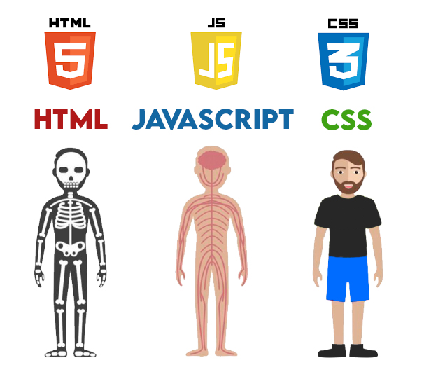 meme-skelleton-css-html-js